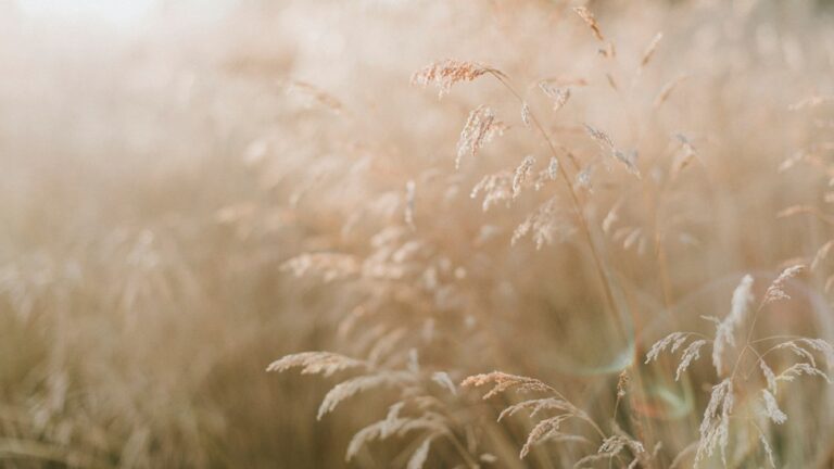 VEGAN FRAGRANCE — A MORE CONSCIOUS WAY TO SMELL BEAUTIFUL